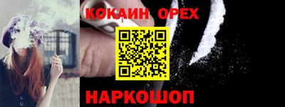 гашик Новокубанск