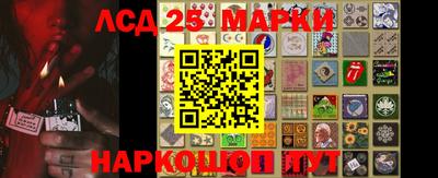 гашик Новокубанск