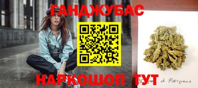 гашик Новокубанск