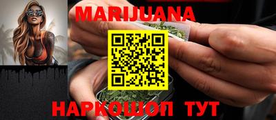 мдпв Новозыбков