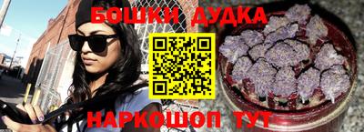 гашик Новокубанск