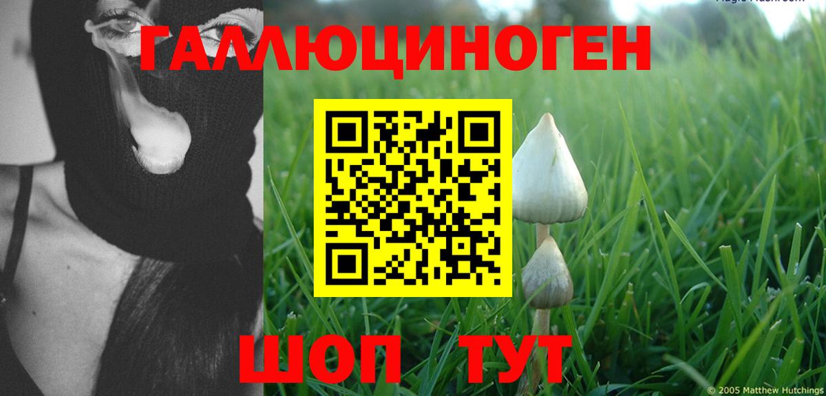 Галлюциногенные грибы Cubensis  Галлюциногенные грибы прущие грибы  Таганрог  Вход с VPN 
